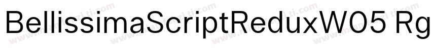 BellissimaScriptReduxW05 Rg字体转换